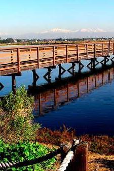 Bolsa Chica Ecological Reserve