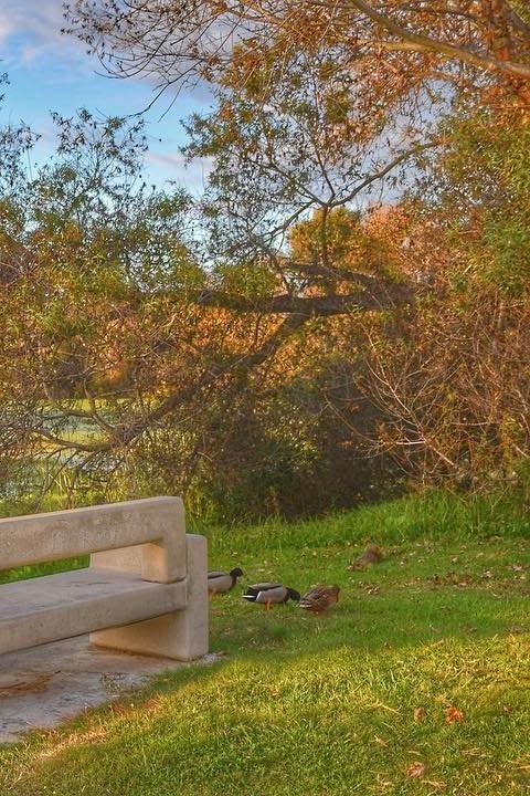 Huntington Central Park